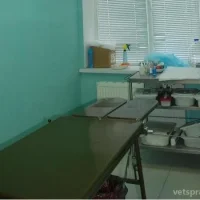 Ветеринарная клиника Айболит Фото 2 на проекте Tula.vetspravka.ru Ветеринарная клиника Айболит Фото 2 на проекте Tula.vetspravka.ru