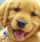 Ветеринарный лечебно-диагностический центр Ветбум Фото 8 на проекте VetSpravka.ru