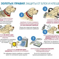 Зоомагазин Комкорд на улице Металлургов Фото 2 на проекте Tula.vetspravka.ru Зоомагазин Комкорд на улице Металлургов Фото 2 на проекте Tula.vetspravka.ru
