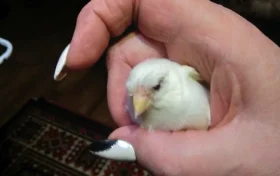 Ветеринарная клиника Зоодоктор Фото 2 на проекте VetSpravka.ru