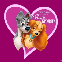 Центр услуг по уходу за животными Леди и Бродяга на проекте Tula.vetspravka.ru Центр услуг по уходу за животными Леди и Бродяга на проекте Tula.vetspravka.ru