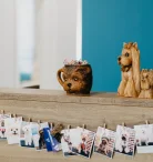 Салон профессионального груминга Groomer Club Фото 4 на проекте VetSpravka.ru